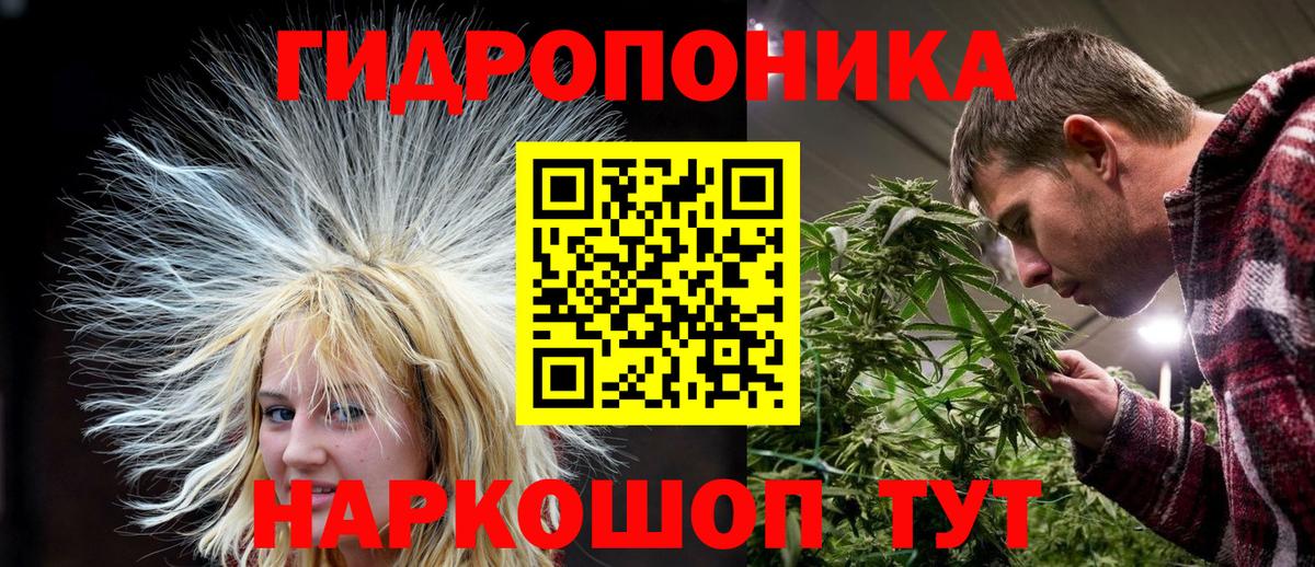 Шишки марихуана марихуана  МАРИХУАНА THC 21%  Конопля планчик  Вход с VPN  Бирск 